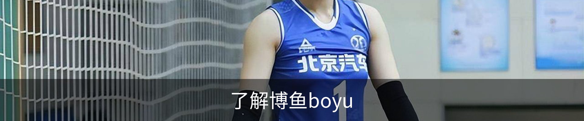 了解博鱼boyu
